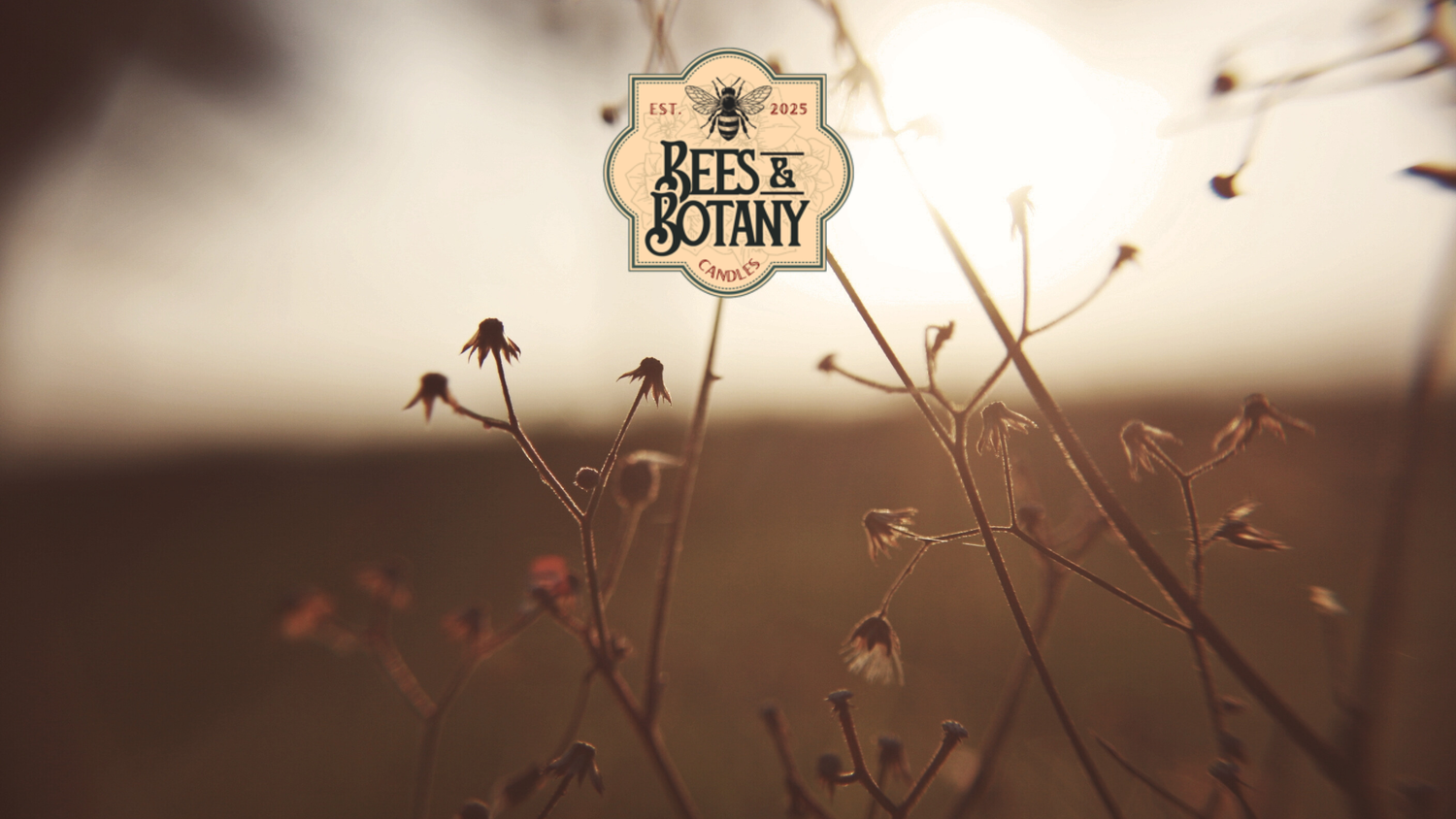 Bees & Botany logo — handmade non-toxic candles and wellness goods