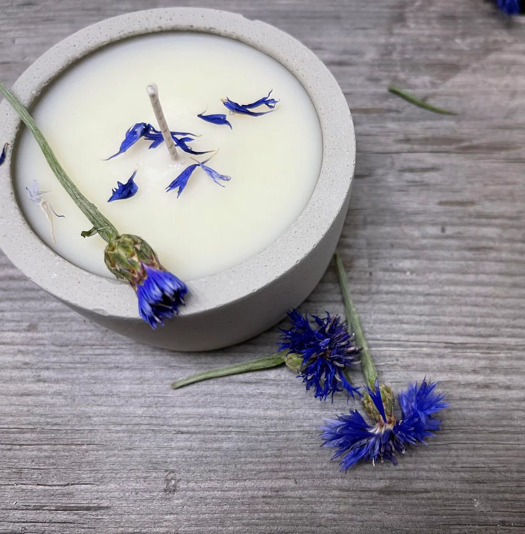 ambre noir candle — musk-
Dark Musk- Amyris- Benzoin — Bees & Botany