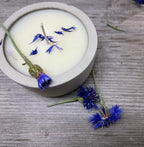 ambre noir candle — musk-
Dark Musk- Amyris- Benzoin — Bees & Botany